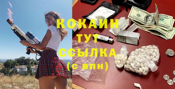 соль ск Алзамай