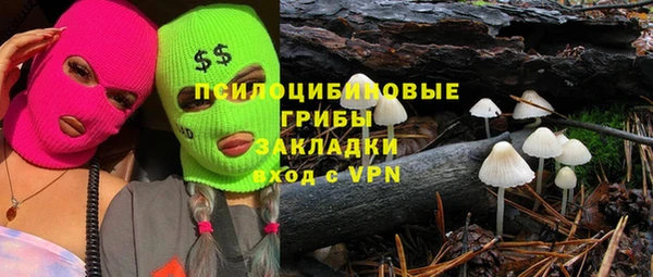 соль ск Алзамай