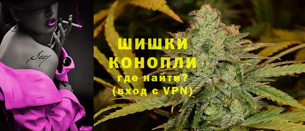 соль ск Алзамай