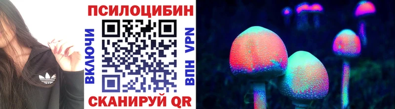 Псилоцибиновые грибы Psilocybine cubensis  Заволжск 
